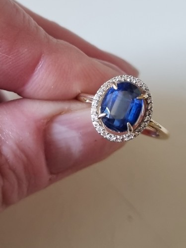 Exceptional nilimani kyanite - exceptional,