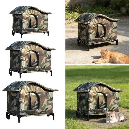 Premium outdoor stray - premium, cat