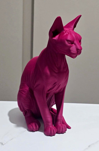 Sphynx cat bust sculputure - bust,