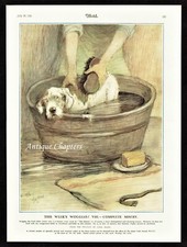 Sealyham Woggles Complete