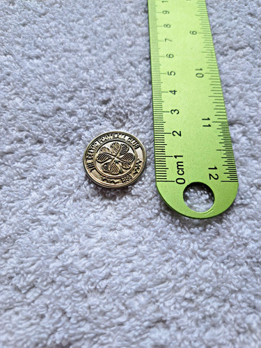 Celtic silver tone crest - celtic,