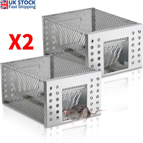 Rat trap mouse catcher - x2,