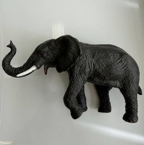 Early learning centre - safari, /