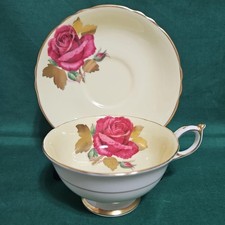Paragon cabbage rose cup - cabbage,