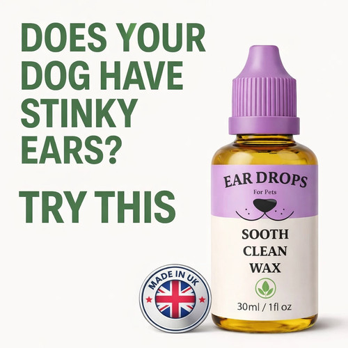 Dogs ear cleaner - dogs, stinky