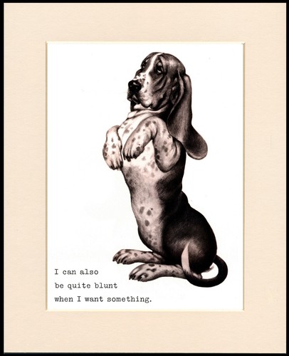 Basset hound dog - basset, art