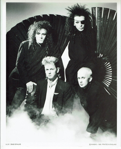 Pete burns and - and, alive