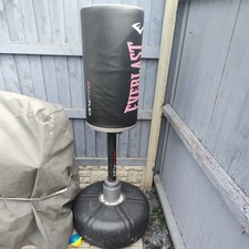 Everlast Punching Bag