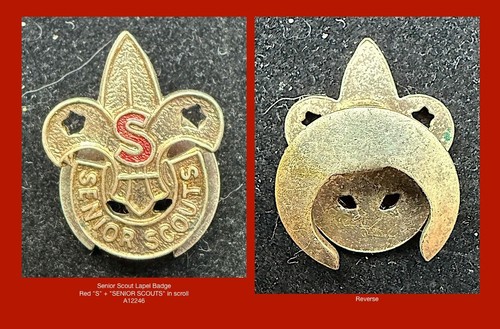 Boy scouts senior - boy,