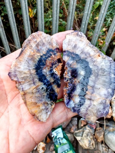 Blue john fluorite butterfly - blue,