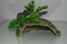Vivarium bonsai with rock cave - vivarium,