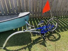 Trek Mountain Train Tag-Along