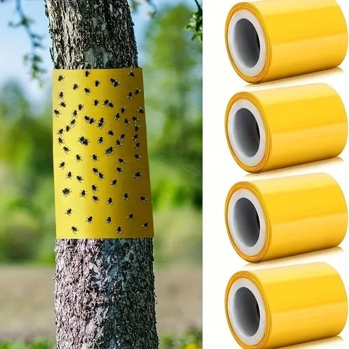 Yellow grease band - yellow, insect