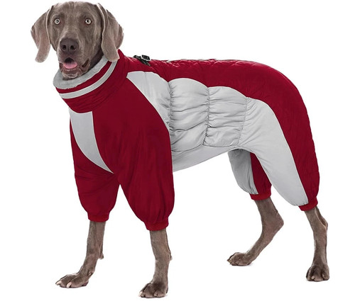 Large dog legs - large, 4