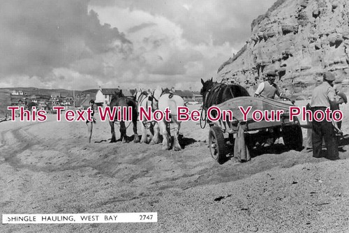 3083 shingle hauling - 3083,