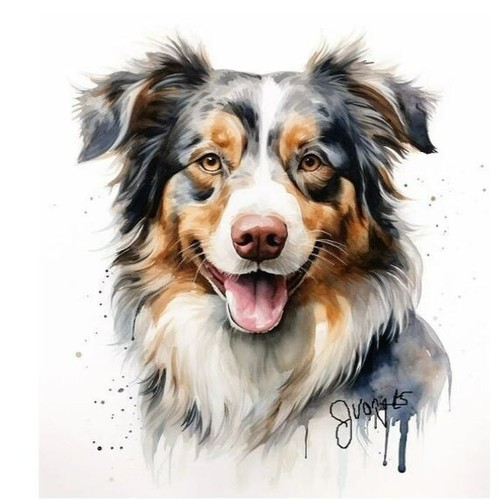 Watercolor australian shepherd - australian,