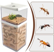 LEVEL Ant Insect Nest Breeding Feeding Acrylic House Ant Farms Formicarium