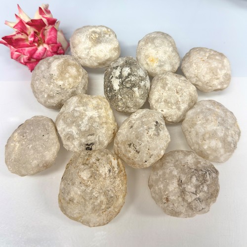 Wholesale lot 2 lbs - wholesale,