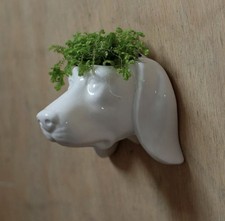 Wall planters face plant - planters,