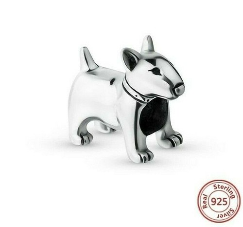 English bull terrier - english,