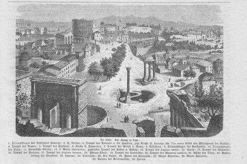 View the roman forum wood - of,