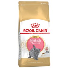 Cat Kitten Dry Food Royal