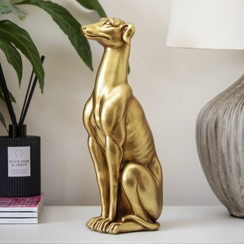 Golden sitting greyhound dog - sitting,