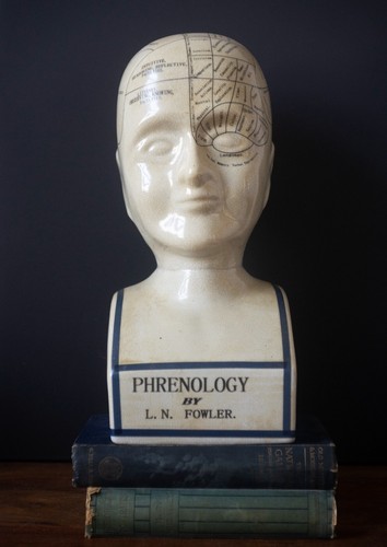 Fowler phrenology bust - phrenology,