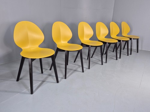 Calligaris dining chairs - calligaris,