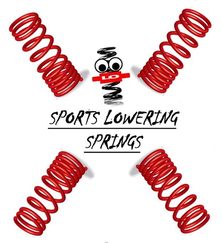 Lowering springs for - lo,