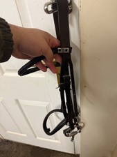 Stubben bridle full size in