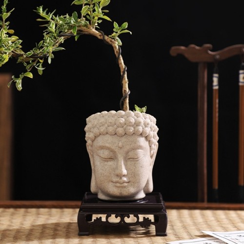 Stylish buddhas head - stylish,
