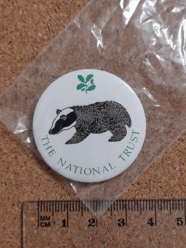 National trust badger - badger, charity