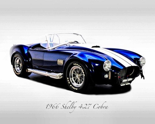 Classic cars 1966 shelby - classic,