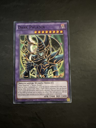 Yugioh dark paladin - paladin, common