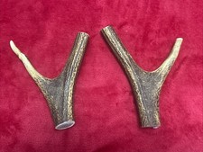 2 PIECES OF RED DEER ANTLERS