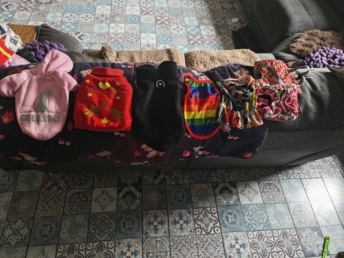 Dog bundle clothes - xs,