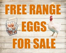 FREE RANGE EGGS FOR SALE HENS