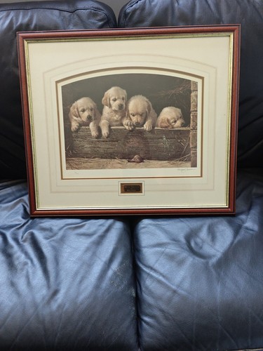 Michael jackson signed - jackson,
