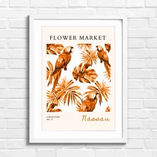 Colorful Macaw Parrots Amidst