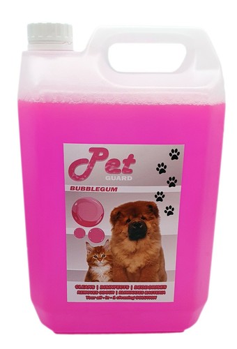 Pet cattery kennel - cattery,
