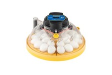 Brinsea maxi advance egg - maxi,