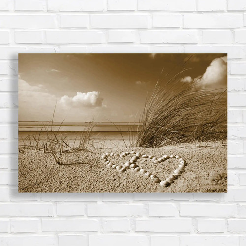 Dune beach seascape - dune, shells
