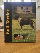 Bull terrier beth any - bull,