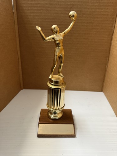 Vintage volleyball - vintage,