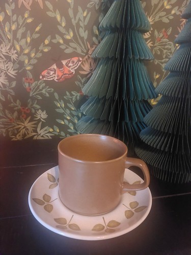 Meakin tulip time cup and - meakin,