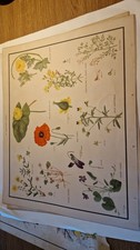 Vintage Macmillan School