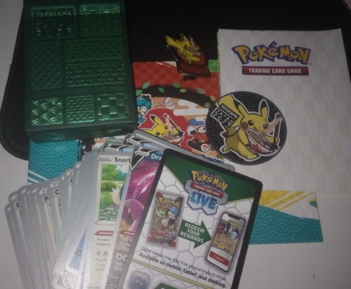 House clearance pokemon - house,