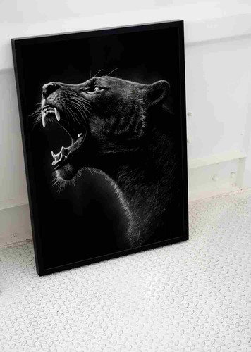 Black panther big - panther, cat
