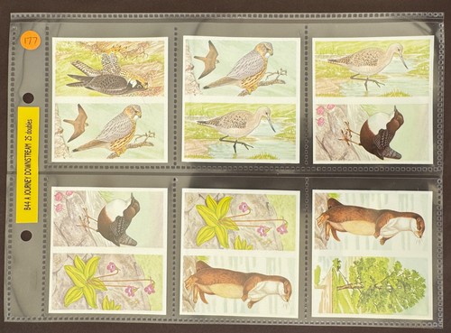 Brooke bond tips b44 a - brooke,